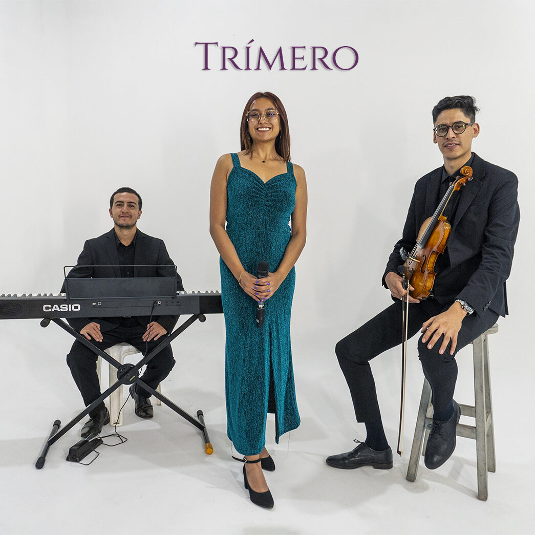 Musicos bodas matrimonios bogota